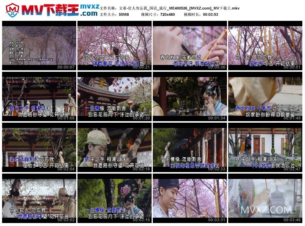 文希-官人勿忘我_国语_流行_ME400526